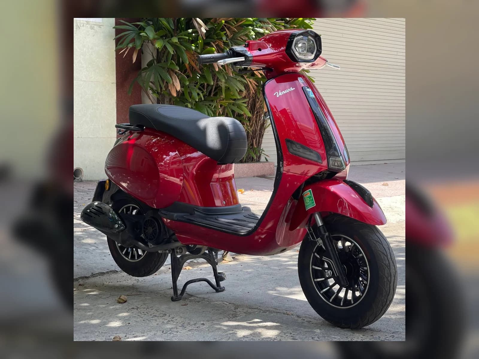 Venuxs 50cc