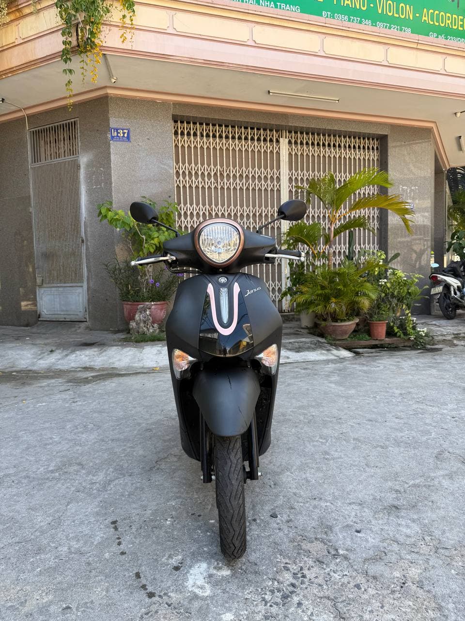 Yamaha Janus 125cc 2