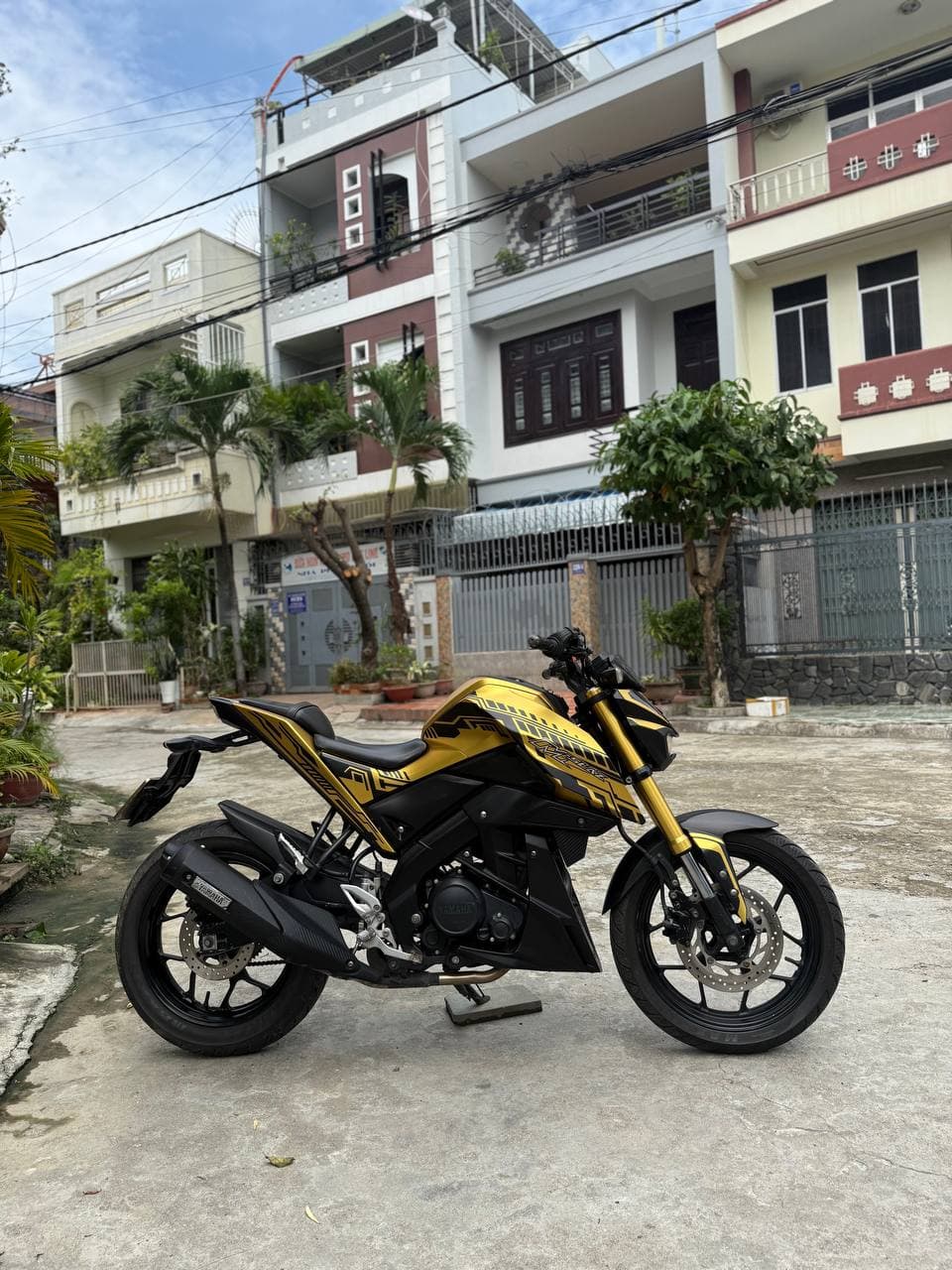 Yamaha TFX150 3